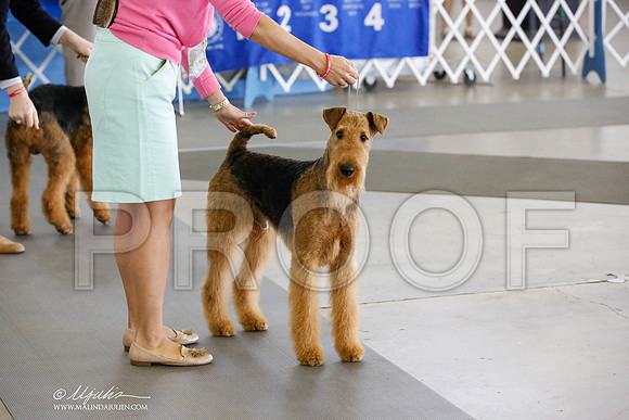 _JN_5131-DallasJul2014-HR3