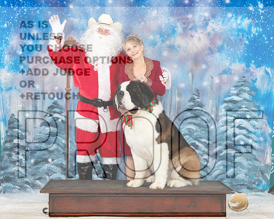 St Bernard #184 Sat Santa-_JP_3440_UKCBelton2023_HR3