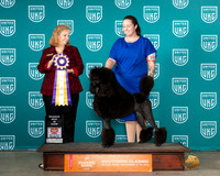 Emily Stein UKC Belton 2023