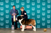 Elizabeth Crook UKC Belton 2023