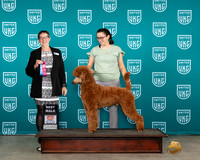 Hayley Walden UKC Belton 2023