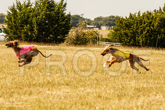 _MJ_5941-AfgBeltonOct2014-HR3