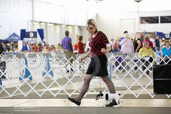 _CK_7018-DallasJul2014-HR3