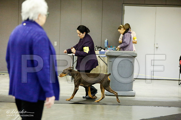 _RH_1887-BeltonJan2015IABCA-HR3