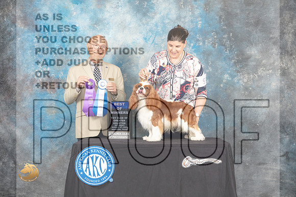 Cavalier King Charles Spaniel #9 Sat BOW Judge Tim Robbins_MJ_0200_HstnTOY_2022_HR3