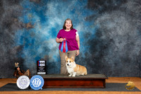 Pembroke Welsh Corgi #9 Fri QQQ Judge Marleen Burford