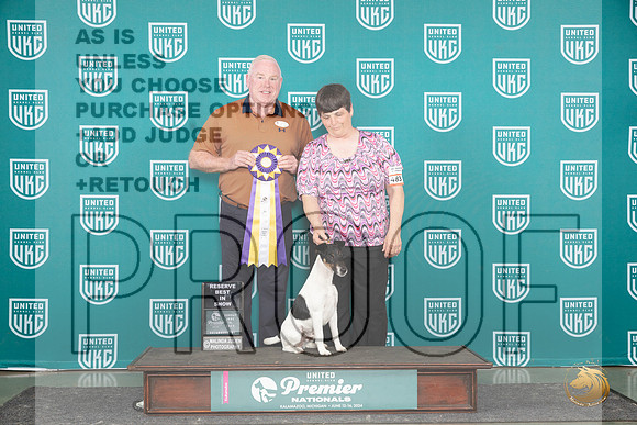 Smooth Fox Terrier # Sun BIS Judge Rick Gann__JP_3485_Premier_2024_HR3