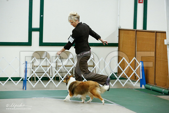 _JJ_4585-NrmnNov2014-HR3