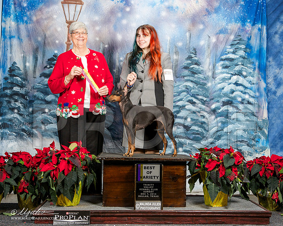 _ST_9342-DallasDec2014-HR3