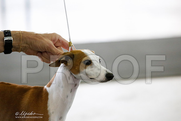 _CK_6678-DallasJul2014-HR3