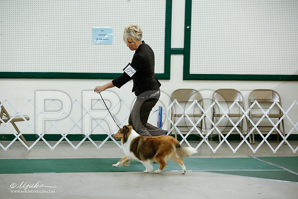 _JJ_4588-NrmnNov2014-HR3