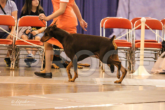 Dobe-0011 PROOF