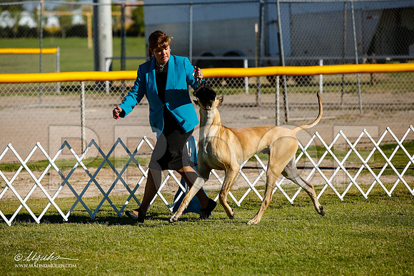 _JJ_9117-AlamogordoOct2014-HR3