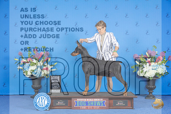Doberman #23 FRI WD BOW M Judge Ronald Freeman__JP_9776_Houston_2024_HR3