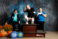 Chinese Crested #5 Sun OHBIS Judge Donnelle Richards