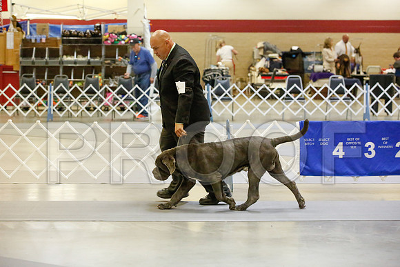 _JJ_1812-AmarilloSept2014-HR3