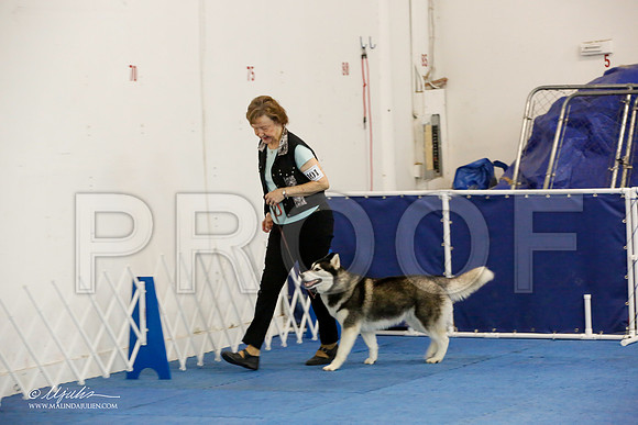 _M3_7719-AddisonHuskyMar2015-HR3