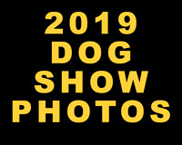 2019 Dog Shows & Performance Events