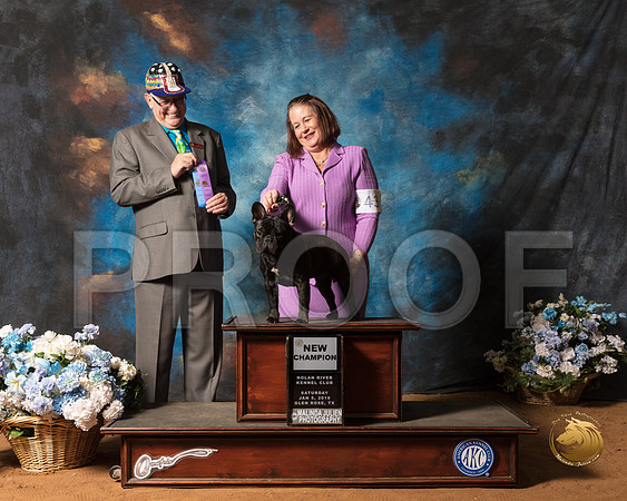 French Bulldog #43 Sat NCh Maj Judge Johnny R Shoemaker_SSR_8803-GlnRse19-HR3