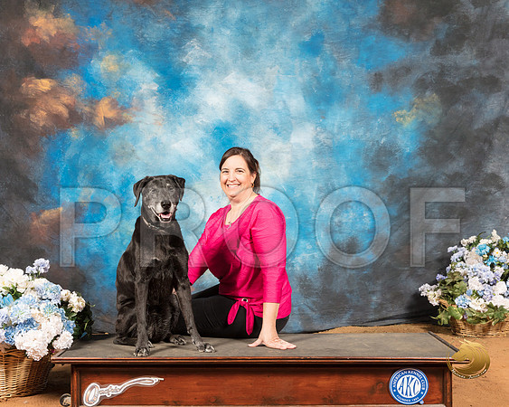 Labrador Retriever Olive Cathy Caballero_SSR_8784-GlnRse19-HR3