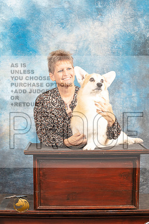 Pembroke Welsh Corgi SAT Turner CUSTOM_MJ_6176_Houston_2022_HR3
