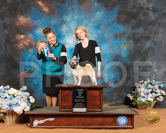 Pug #14 Sat BOW Maj Judge Joan Luna Liebes_SSR_9061-GlnRse19-HR3