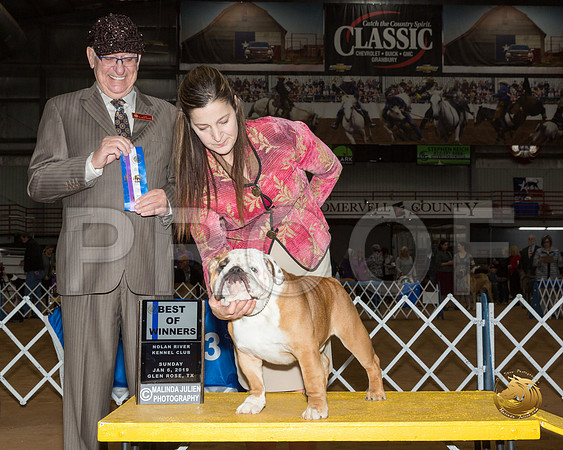 Bulldog #7 Sat BOW Judge Johnny Shoemaker__ST_1104-GlnRse19-HR3