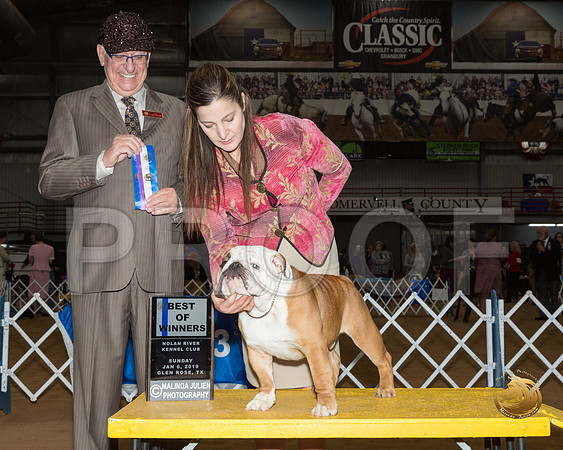 Bulldog #7 Sat BOW Judge Johnny Shoemaker__ST_1105-GlnRse19-HR3