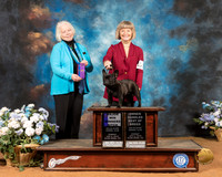 French Bulldog #38 Sun OHBOB WB Maj Judge Carolyn Alexander