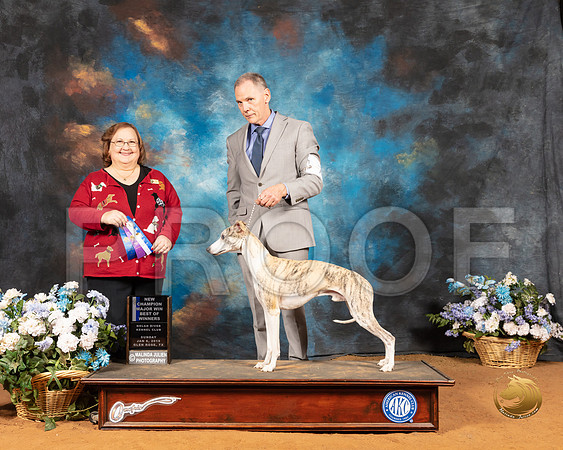 Whippet #7 Sun BOW Maj NCh Judge Ann Roth_SSR_9245e1-GlnRse19-HR3