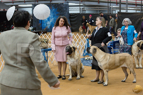 Mastiff #28 SUN Courtney Dieckman_JJJ_2277_GLNRSE19-HR3