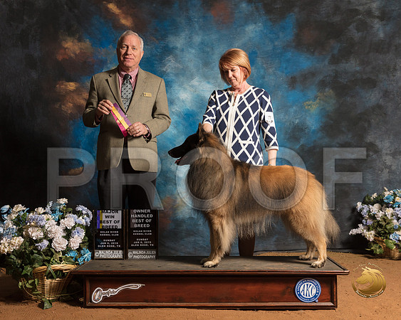 Belgian Tervuren #7 Sun BOB OHBOB Judge Dr Eric Liebes_SSR_9310-GlnRse19-HR3