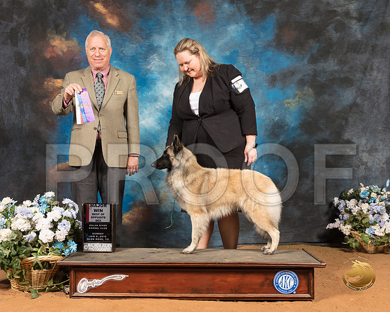Belgian Tervuren #8 Sun BOS Maj Judge Dr Eric Liebes_SSR_9307-GlnRse19-HR3
