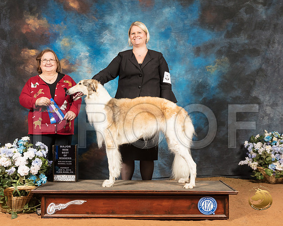 Borzoi #12 Sun BOW Judge Ann Roth_SSR_9274-GlnRse19-HR3