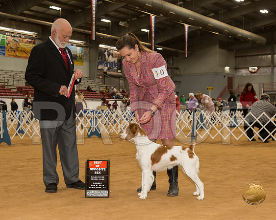 Brittany #10 Sun BOS Judge Sam Houston McDonald__CL_3994-GlnRse19-HR3