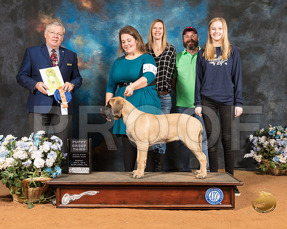 Mastiff #11 Sun PG3 Judge Merle Taylor_SSR_9295-GlnRse19-HR3