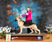 German Shepherd Dog #200 Fri