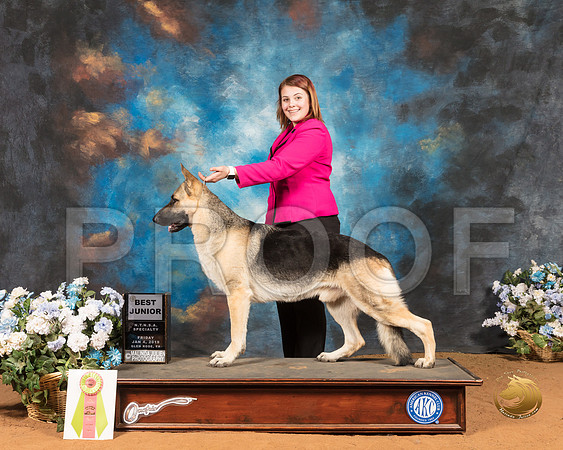 German Shepherd Dog #200 Fri _SSR_9340-GlnRse19-HR3