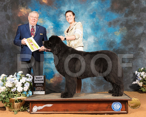 Newfoundland Sun Best Jr Judge Merle Taylor_SSR_9342-GlnRse19-HR3