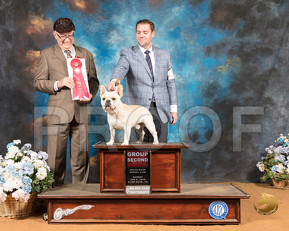 French Bulldog #37 Sun Judge Johnny Shoemaker_SSR_9542-GlnRse19-HR3