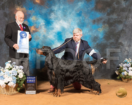 Gordon Setter #19 Sun G1 Judge Sam Houston McDonald_SSR_9573-GlnRse19-HR3