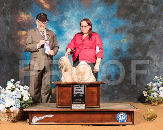 Lhasa Apso #12 Sun BOS Maj Judge Johnny Shoemaker_SSR_9548-GlnRse19-HR3