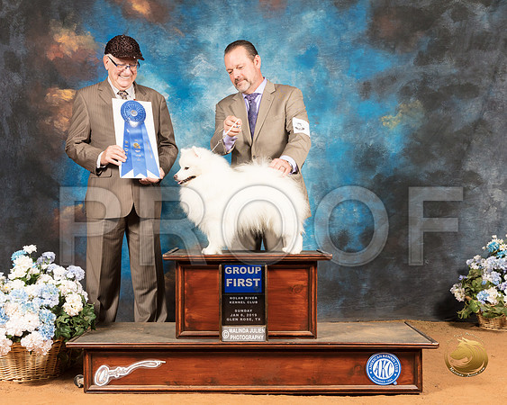 American Eskimo #5 Sun G1 Judge Johnny Shoemaker_SSR_9538-GlnRse19-HR3