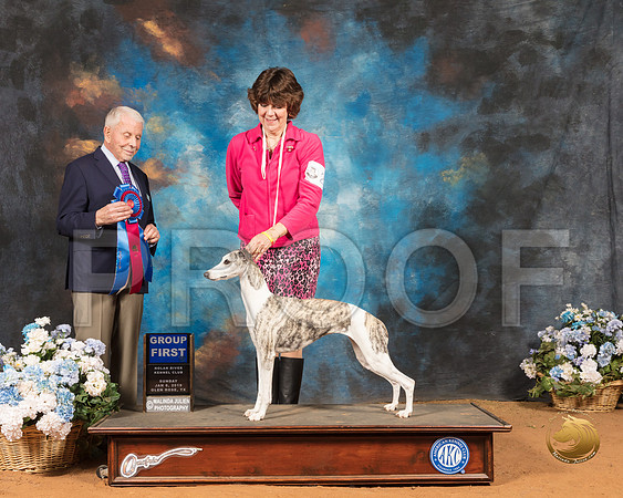 Whippet #28 Sun RBIS Judge Robert Stein_SSR_9620-GlnRse19-HR3