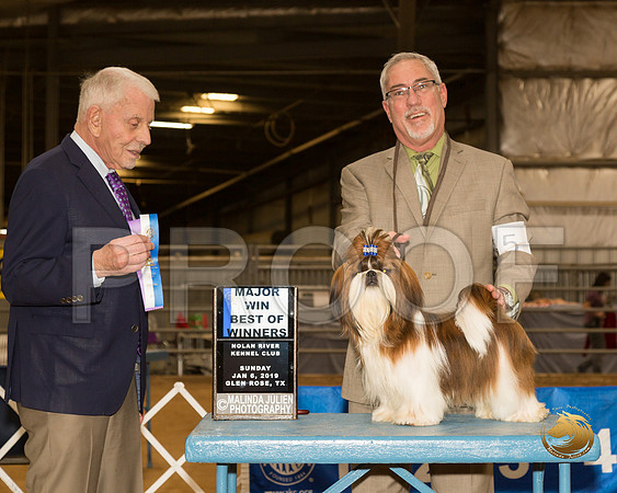 Shih Tzu #5 Sun BOW Maj Judge Robert Stein__CL_4060-GlnRse19-HR3