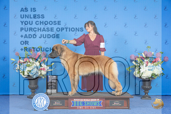 Leonberger #8 SUN WB BOW NC M Judge Ronald Freeman__JP_0028_Houston_2024_HR3