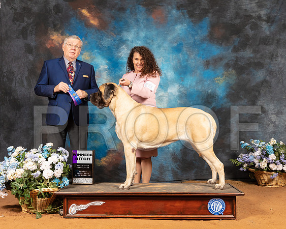 Mastiff #28 Sun WB Judge Vern Harvey_SSR_9236e1-GlnRse19-HR3