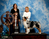 #547 Sat2 Premier Dog Kathy Bryan Judge Kristin Rush-2