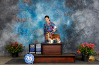 Cavalier King Charles Spaniel