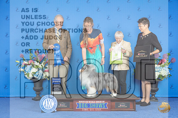 Shetland Sheepdog #23 SAT G1 Judge James Moses__JP_0029_Houston_2024_HR3